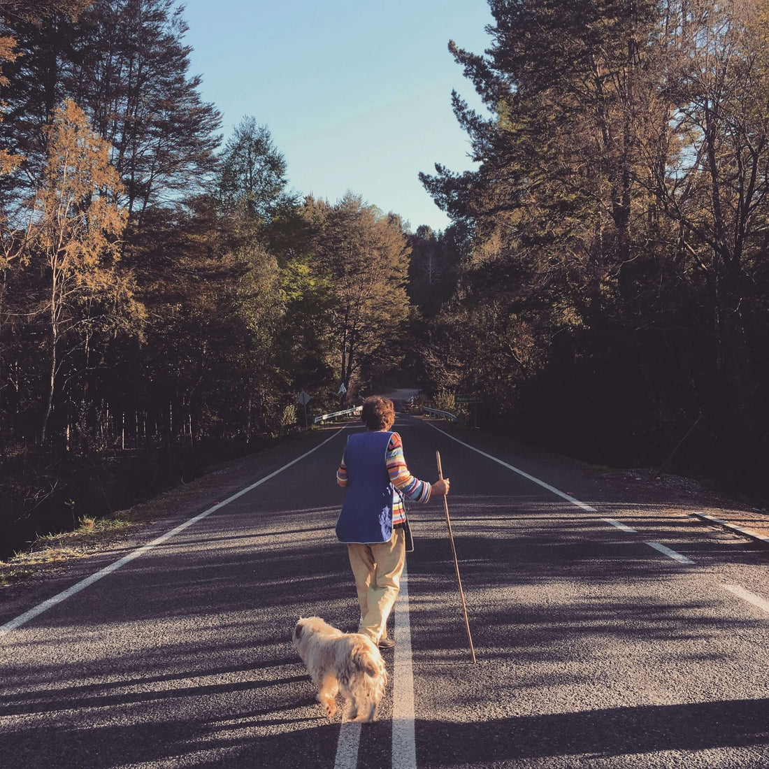 5 Subtle Signs Your Dog Needs More Attention