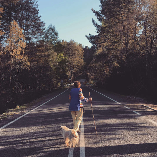 5 Subtle Signs Your Dog Needs More Attention