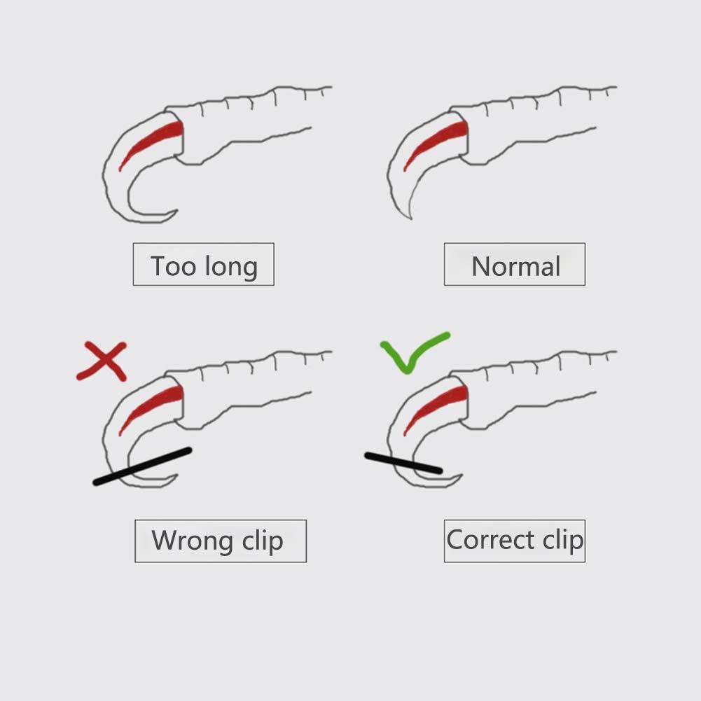 OMEM Bird Nail Clippers with Grinding Nail Scissors Tool Pet Parrot Claw Care (Pink,S)