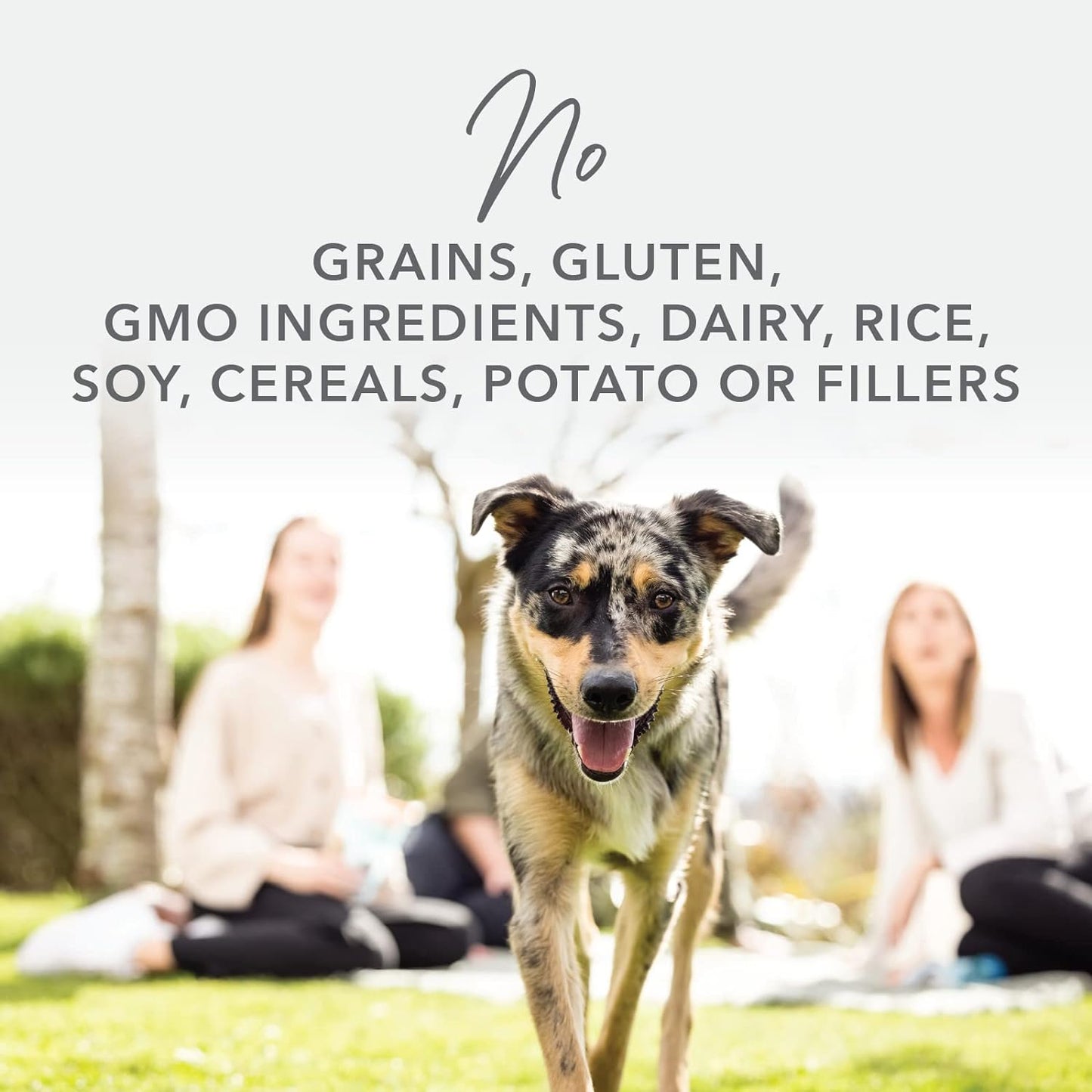 K9 Natural - Grain Free Freeze Dried Dog Food - Lamb & Salmon, 4lb