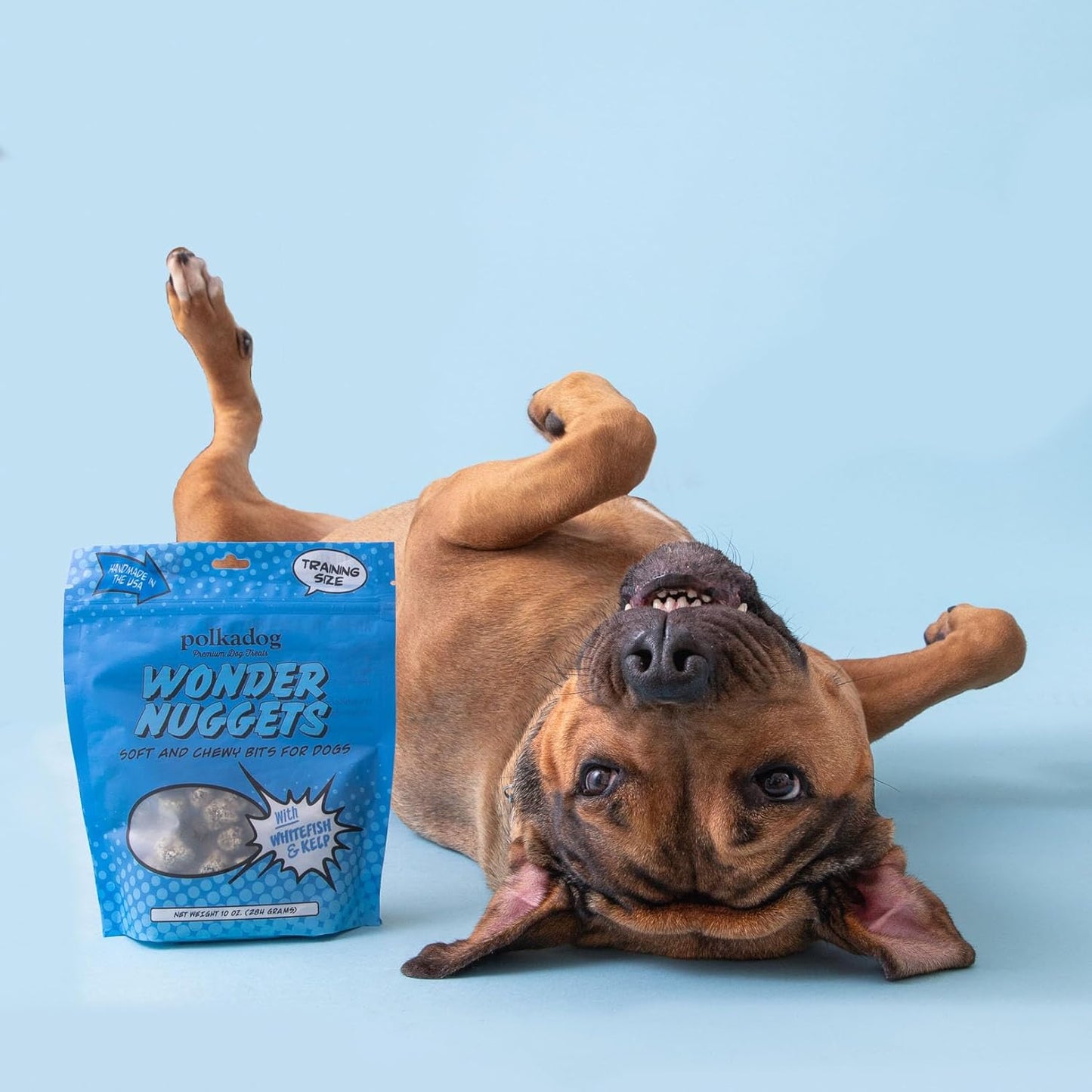 Polkadog Wonder Nuggets – Soft & Chewy Dog Treats with Wild-Caught Whitefish & Kelp – Healthy, Limited Ingredient Training Treats for All Dog Breeds and Ages – Natural, Made in USA – 10 oz