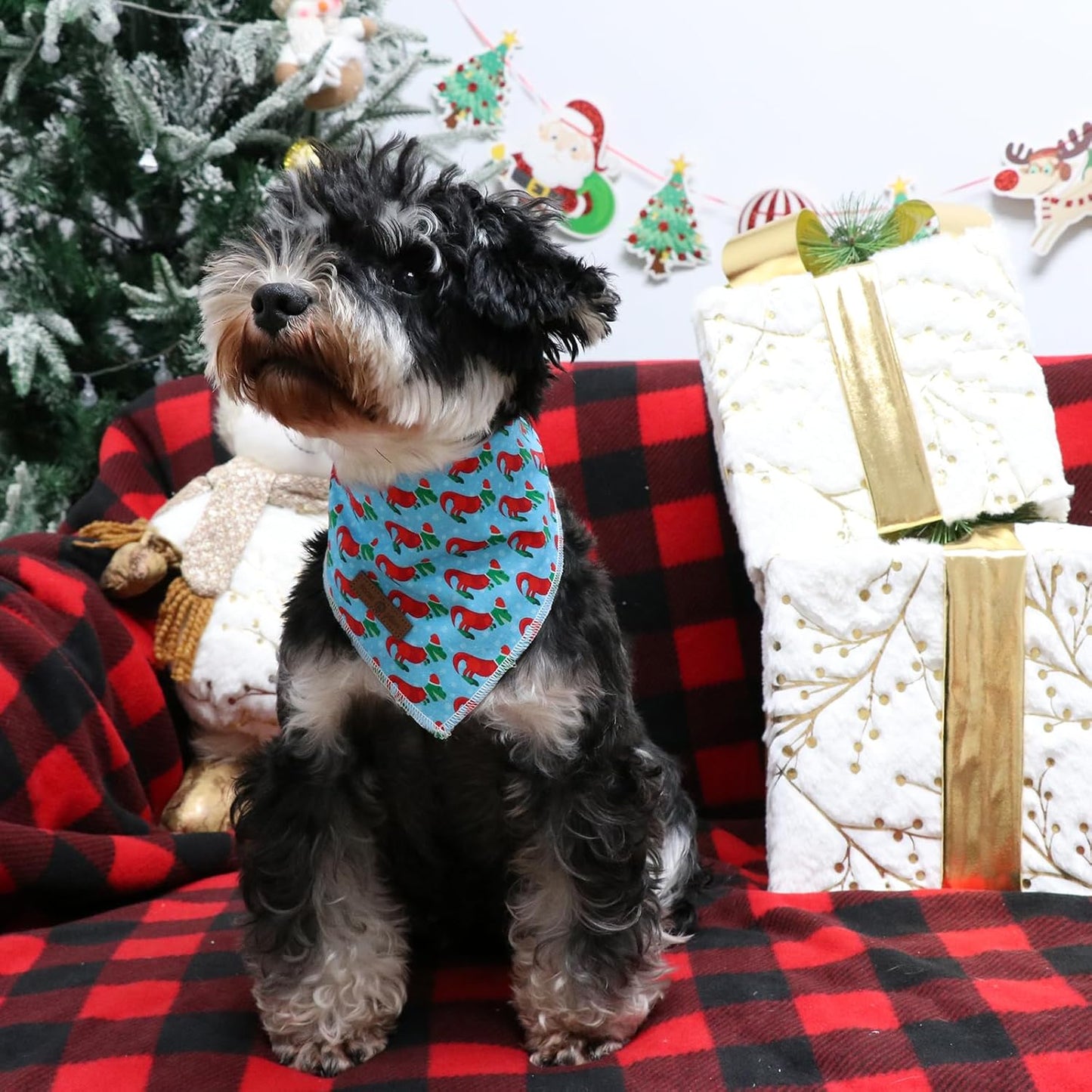 Lionet Paws Christmas Dog Bandana for Small Medium Large Dogs,Dinosaur Cat Dog Kerchief Washable Dog Triangle Bibs Scarf for Girl or Boy Gift