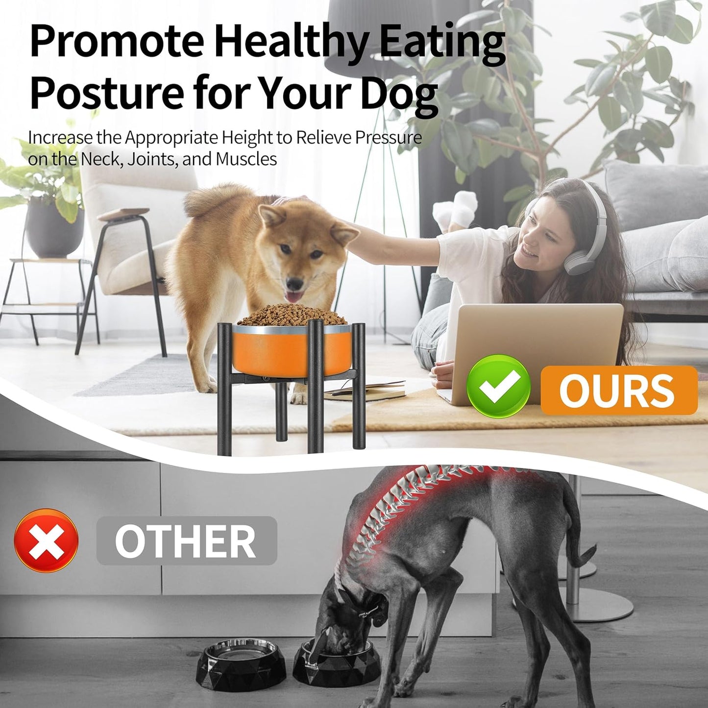 Lifted Dog Bowl Stand - Without Bowls, Single Raise Pet Food Table Adjustable Wide 6-10", Tall 8 10 12" - Bowl Stand Size Optional, Dog Bowl Holder Elevated for Small Medium Large Dog Breed